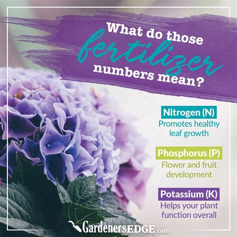 What Do The 3 Numbers In Fertilizer Represent at Samuel Goggins blog
