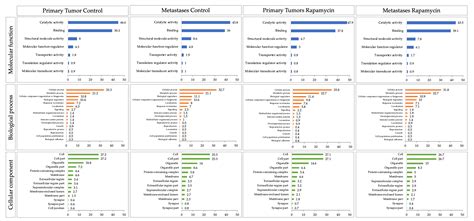 Proteomics Approach of Rapamycin Anti-Tumoral Effect on Primary and ...
