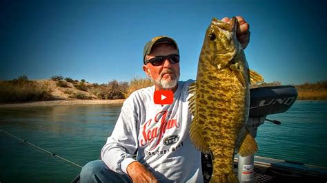 Lake Havasu Fishing Spots Fishing Mesquite Bay In Lake Havasu Along W