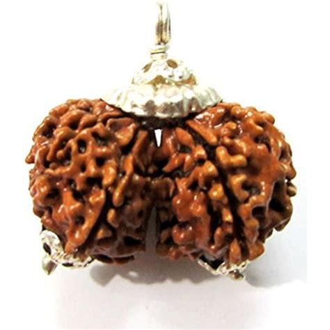 RamneekJewels Divya Shakti 100% Original Nepali Gauri Shankar India | Ubuy