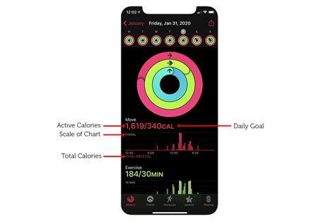 Apple Watch Active Calories vs. Total Calories: What's the difference?