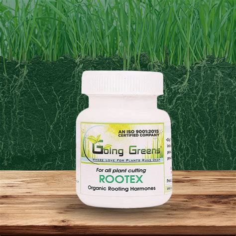 Rootex, Rooting Hormone Powder – Going Greens
