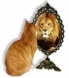 my road to black gatto si crede my road to black gatto si crede