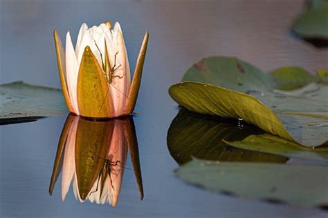 Okefenokee Adventures (Folkston) - 2019 What to Know Before You Go ...