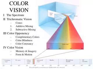 Color Vision 的图像结果