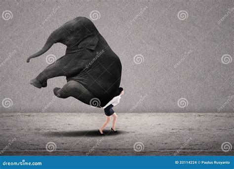 Businesswoman Lifting Heavy Elephant Stock Photo - Image of asian, massive: 33114224