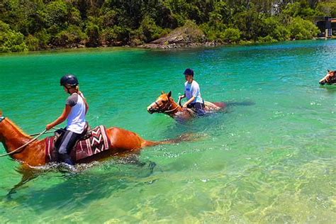 HWH STABLES (2026) All You Need to Know BEFORE You Go (with Photos ...