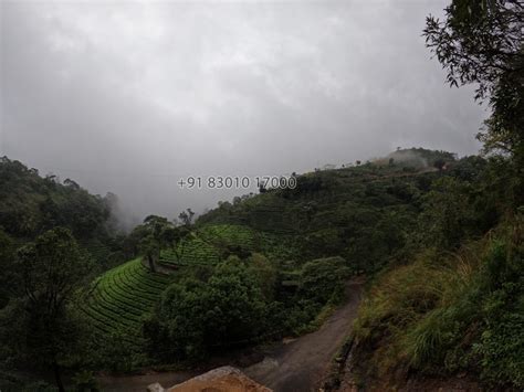 Vagamon private tea plantation stay - vagamon Hosted By Arun (VG1710 ...