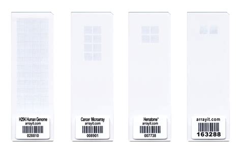 Microarray Kit 的图像结果