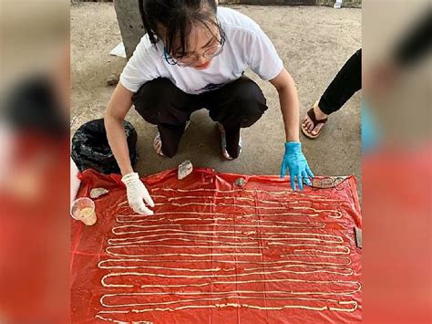 59-FOOT tapeworm oozes out of a Thai man's rectum after he went to the ...