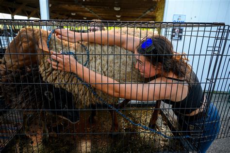 4 days. 50 photos. Capturing a weekend at CT's 2024 Woodstock Fair | Connecticut Public
