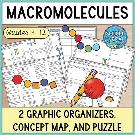 Engaging Macromolecules Lessons for High School Biology - Science is ...
