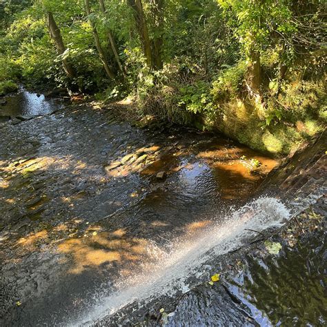 COTE GHYLL CARAVAN & CAMPING PARK (Osmotherley, North Yorkshire ...