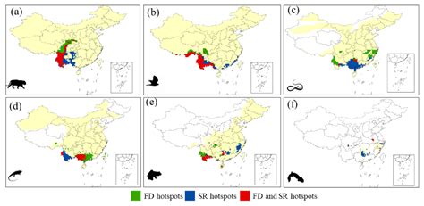 Geographical Patterns in Functional Diversity of Chinese Terrestrial Vertebrates
