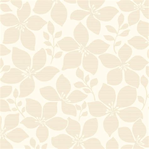 [100+] Plain Beige Wallpapers | Wallpapers.com