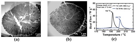 Safety Issues of Layered Nickel-Based Cathode Materials for Lithium-Ion ...
