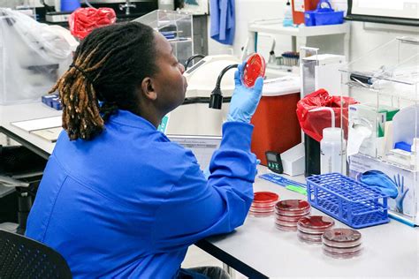 Image result for MLT Program