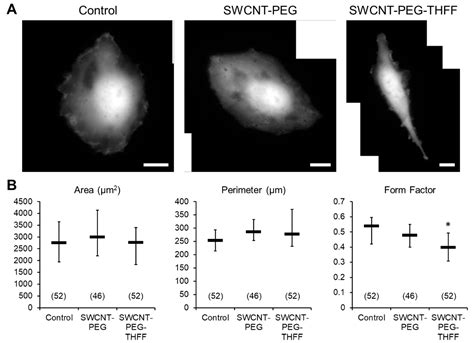 Effects of Chemically-Functionalized Single-Walled Carbon Nanotubes on ...