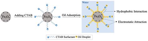 Investigation of Emulsified Oil Adsorption onto Functionalized Magnetic ...