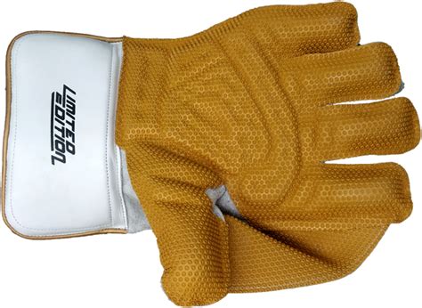 Keeping Gloves Online in India – Spartan Sports Corporation
