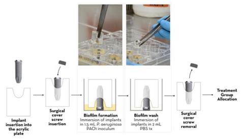 Dental Implant Surface Decontamination and Surface Change of an ...