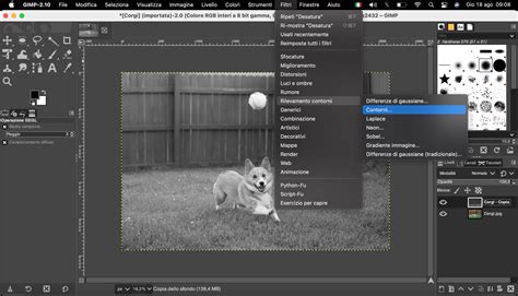GIMP: come trasformare una foto in un disegno - CCM