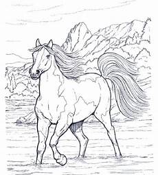 ostwind malvorlagen ausmalbilder ostwind ostwind malvorlagen ausmalbilder ostwind