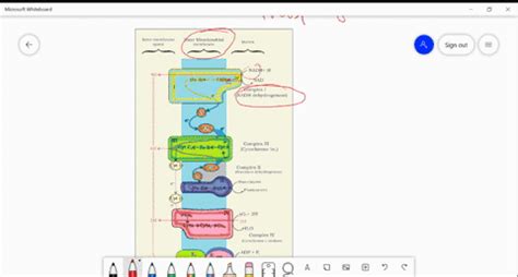 Image result for ETS Function Examples