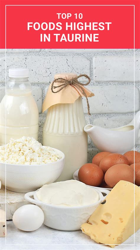 10 Best Sources Of Taurine To Boost Your Natural Energy