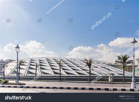 Great Library 的图像结果