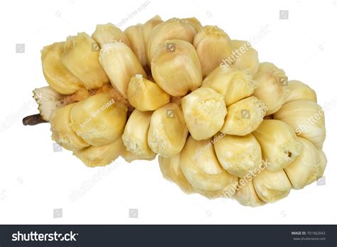 380 Cempedak Fried Images, Stock Photos & Vectors | Shutterstock