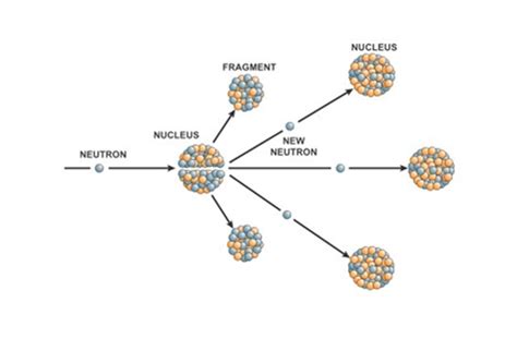 Nuclear Reaction Process 的图像结果