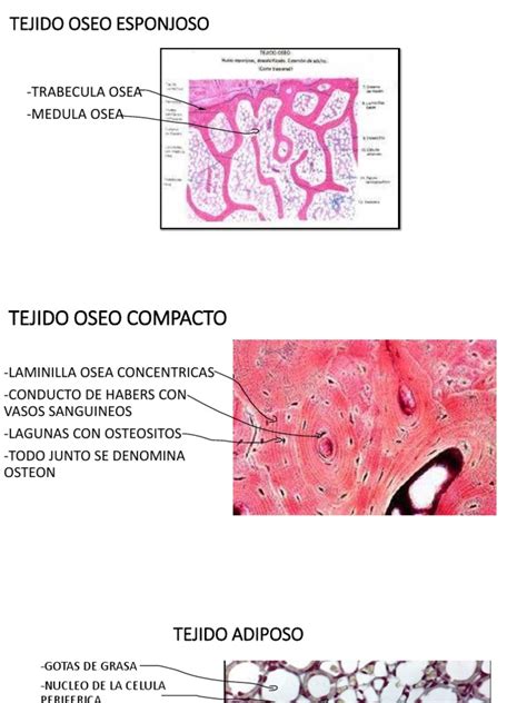 Image result for Informational Data Example
