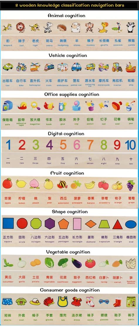 Knowledge Classification Box (Numbers, Shapes, Vehicles, Vegetables, A ...