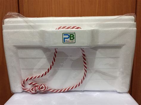 Styrofoam Cooler Box | Desertcart INDIA