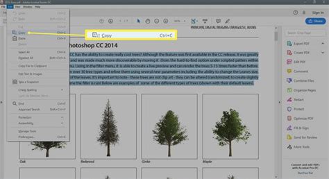 Image result for How to Copy Text From Image Using PDF