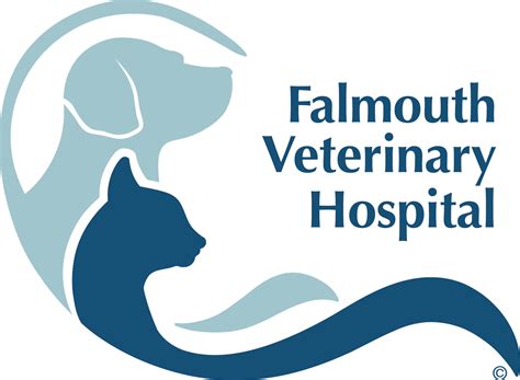 Vet Near Me Falmouth, ME | Falmouth Veterinary Hospital
