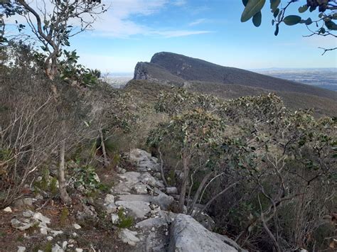 HFNC Inc Special Presentation - Endemic and other Special Plants of ...