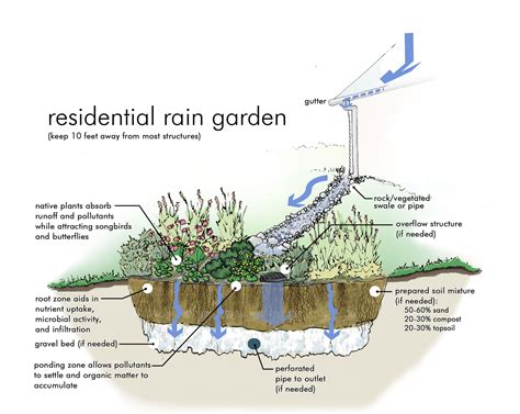 Rain Garden Design Templates