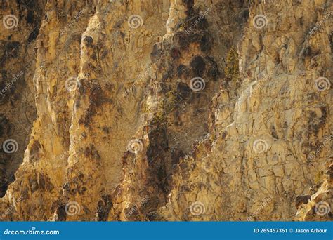 Grand Canyon of the Yellowstone Yellow Textured Cliff Walls with Jagged ...