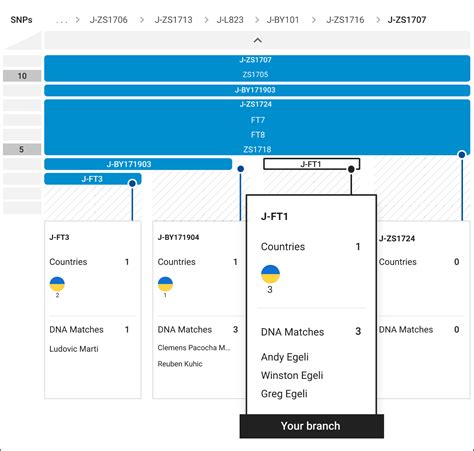 Explore Your Father's Line With Big Y-700 - FamilyTreeDNA