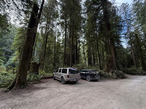Hiking the Grove of the Titans Trail in Jedediah Smith Redwoods State ...