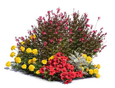 Image result for Composition of Flowers Tutorial