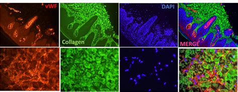 GenomeRxUs is a healthcare firm based in Philadelphia