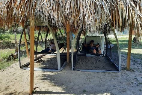 Diaspora Psychedelic Society - Treasure Beach | Tripadvisor