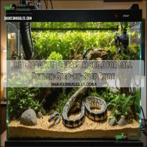 Ball Python Terrarium Setup 的图像结果