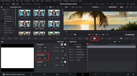 [DaVinci Resolve Tutorial] How to Apply LUTs?