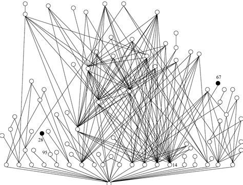 The food web depicting trophic relationships between species