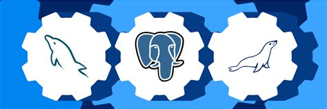 Database Options 的图像结果