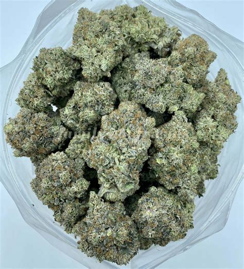 Buy 91 Octane Online - One Two Treez